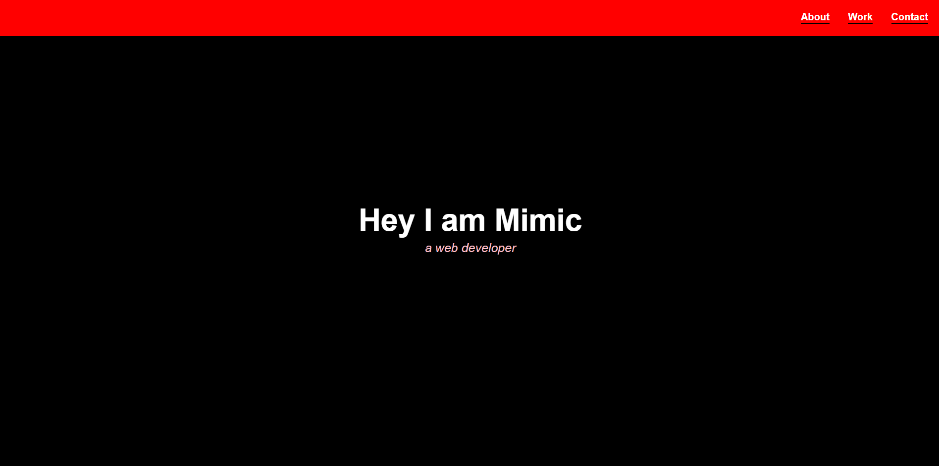 Basic Portfolio Website